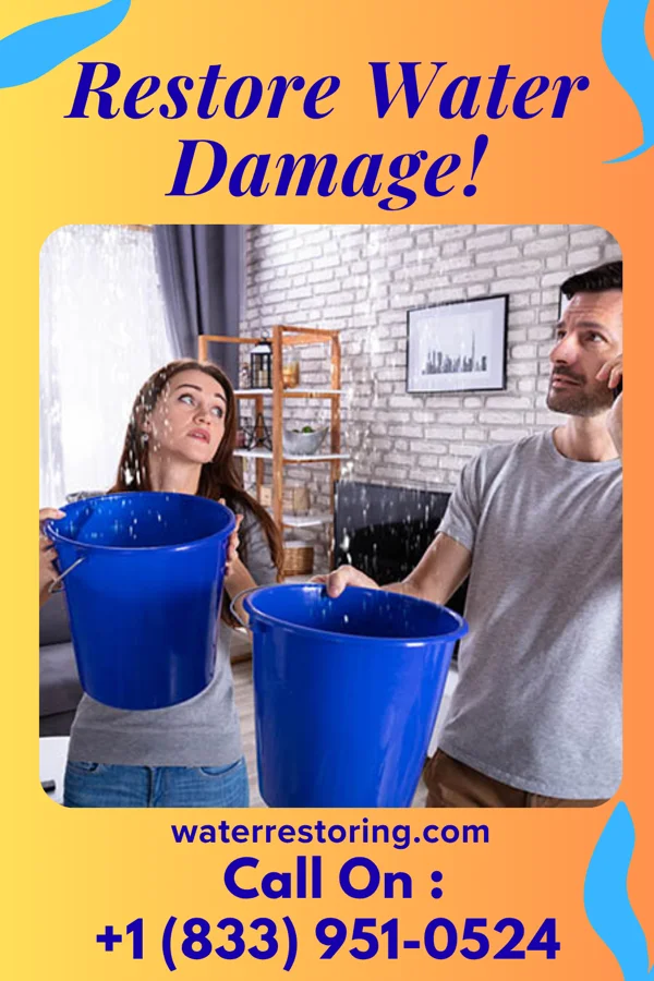 water restoration Superior Water Removal LLC Farmington