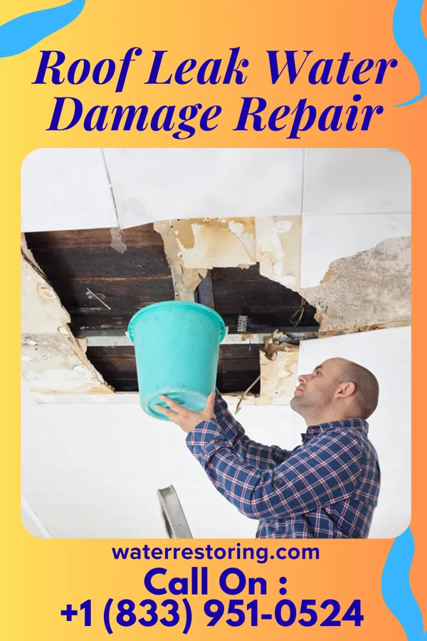 Roof Leak Water Damage Repair in Farmington, MS