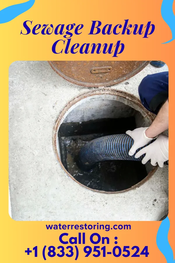 Sewage Backup Cleanup in Farmington, MS
